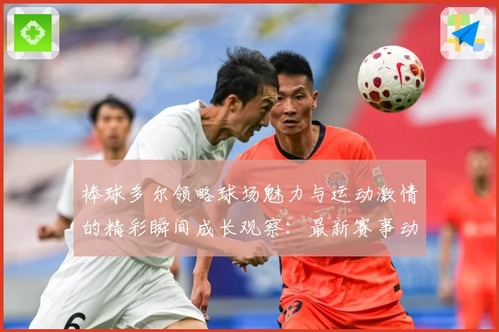 棒球多尔领略球场魅力与运动激情的精彩瞬间成长观察：最新赛事动态与深度分析